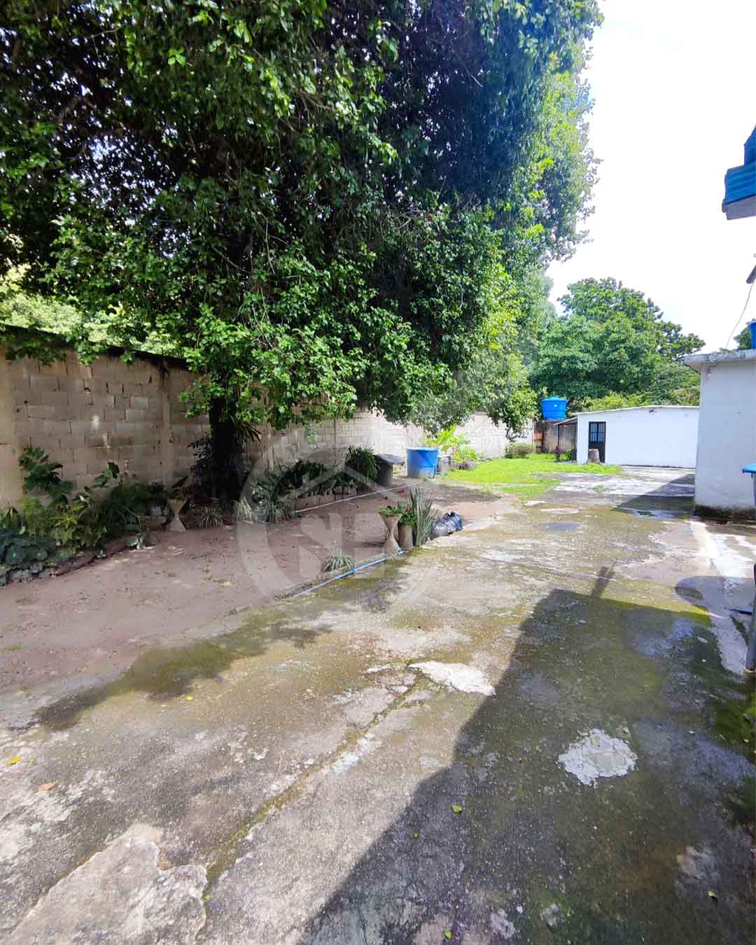 CASA EN VENTA EN EL SAMAN 