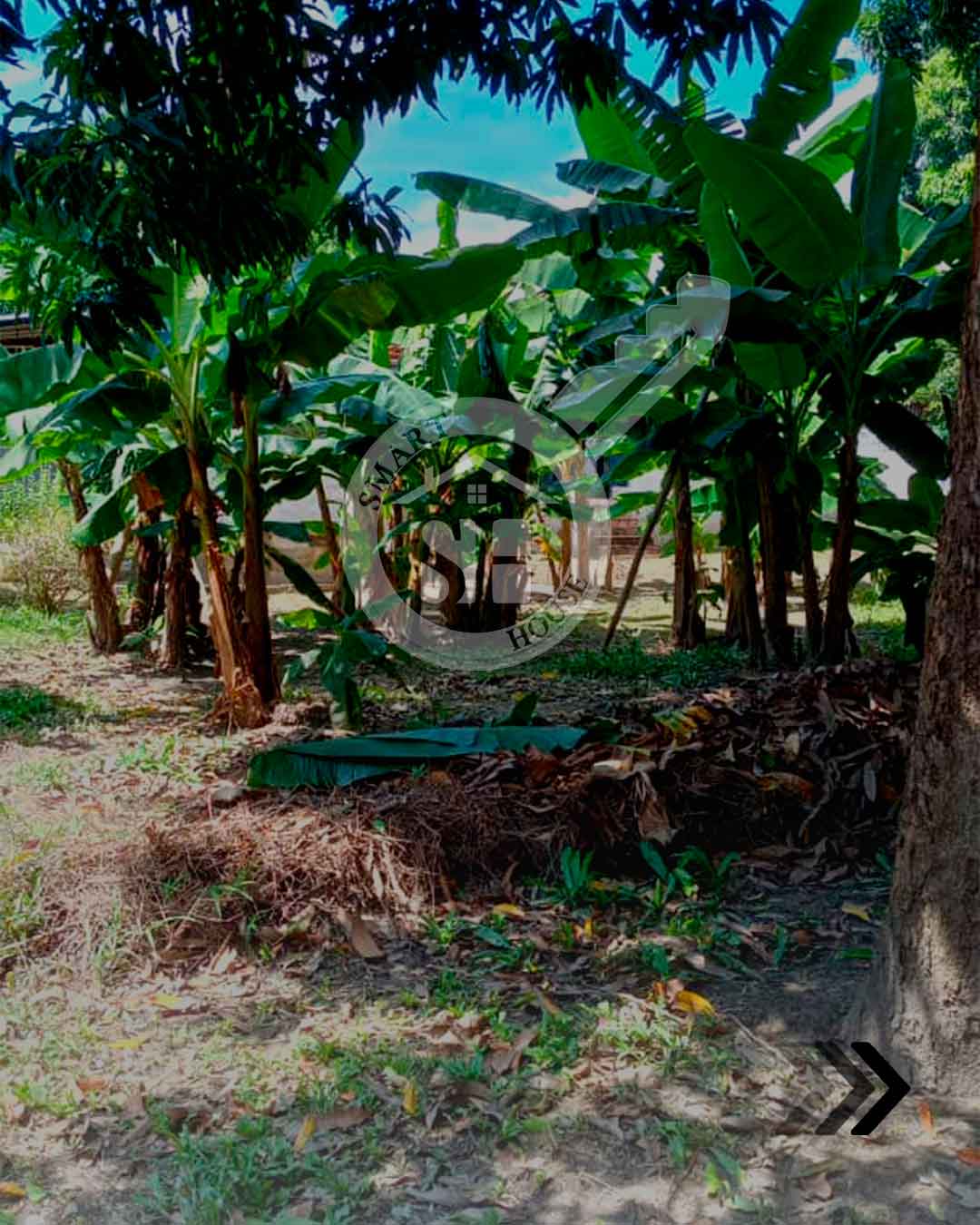 CASA/TERRENO VENTA EL LIMÓN - LAS MAYAS