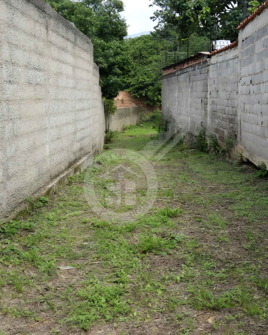 Terreno en  venta el limón 