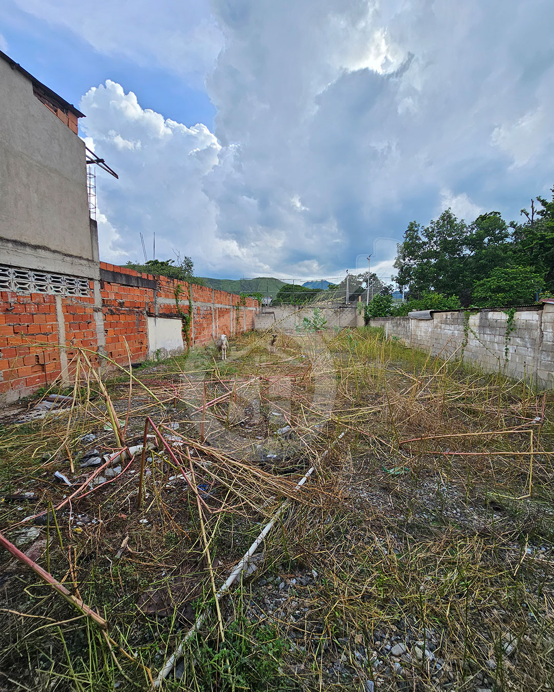 TERRENO VENTA VILLA DE CURA