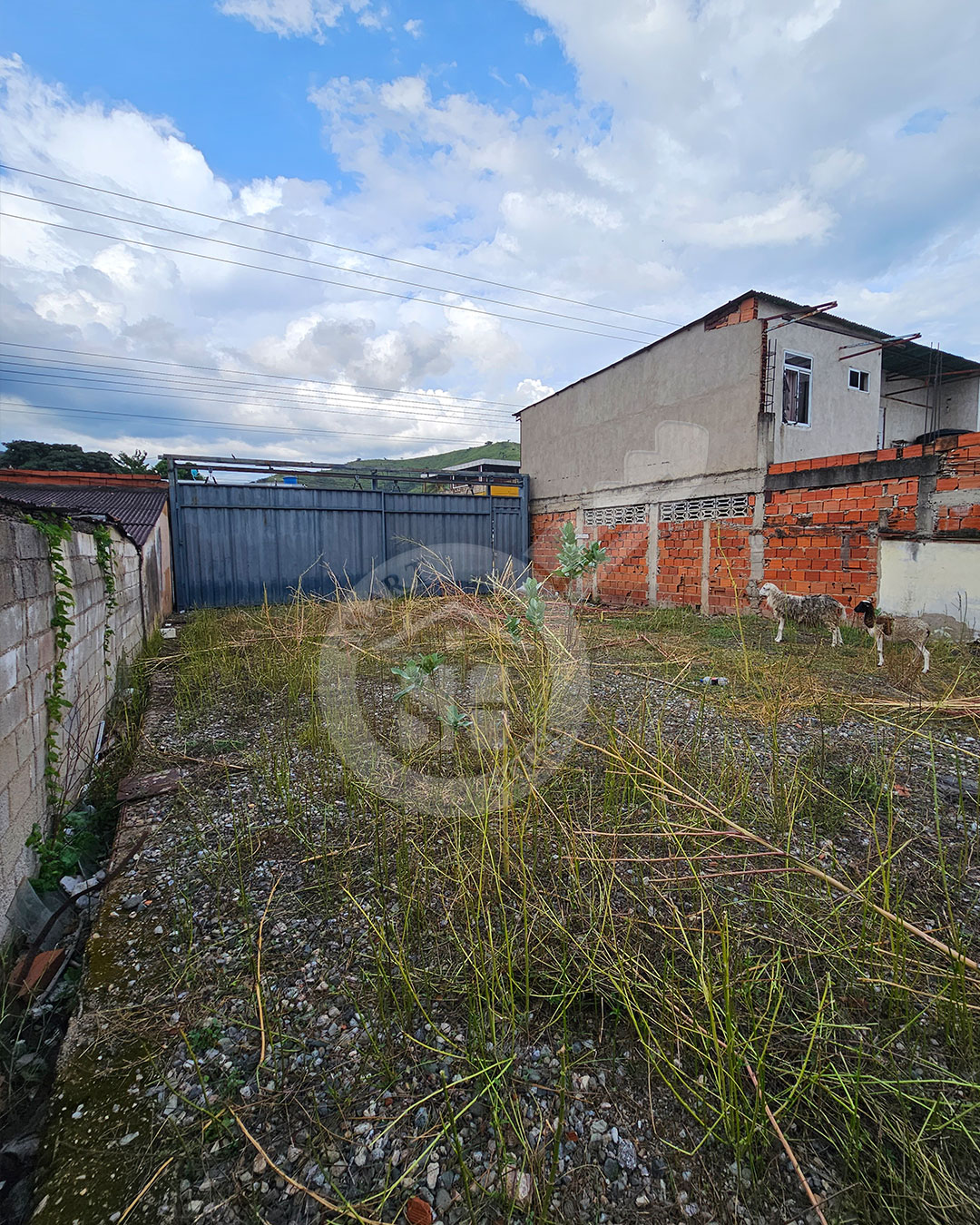 TERRENO VENTA VILLA DE CURA