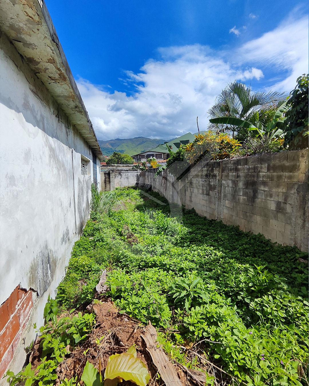 CASA - TERRENO VENTA BARRIO SUCRE