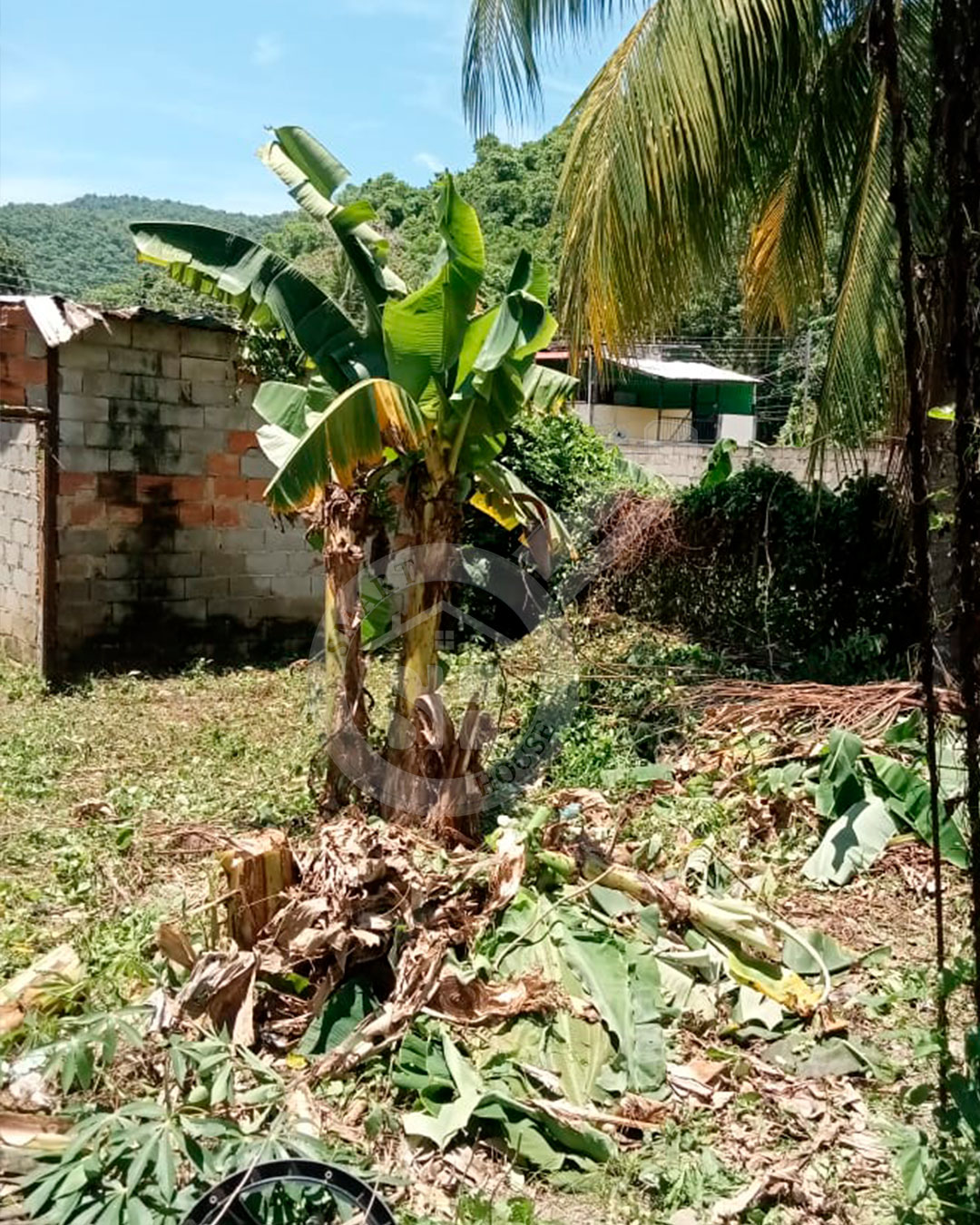 CASA VENTA OCUMARE DE LA COSTA