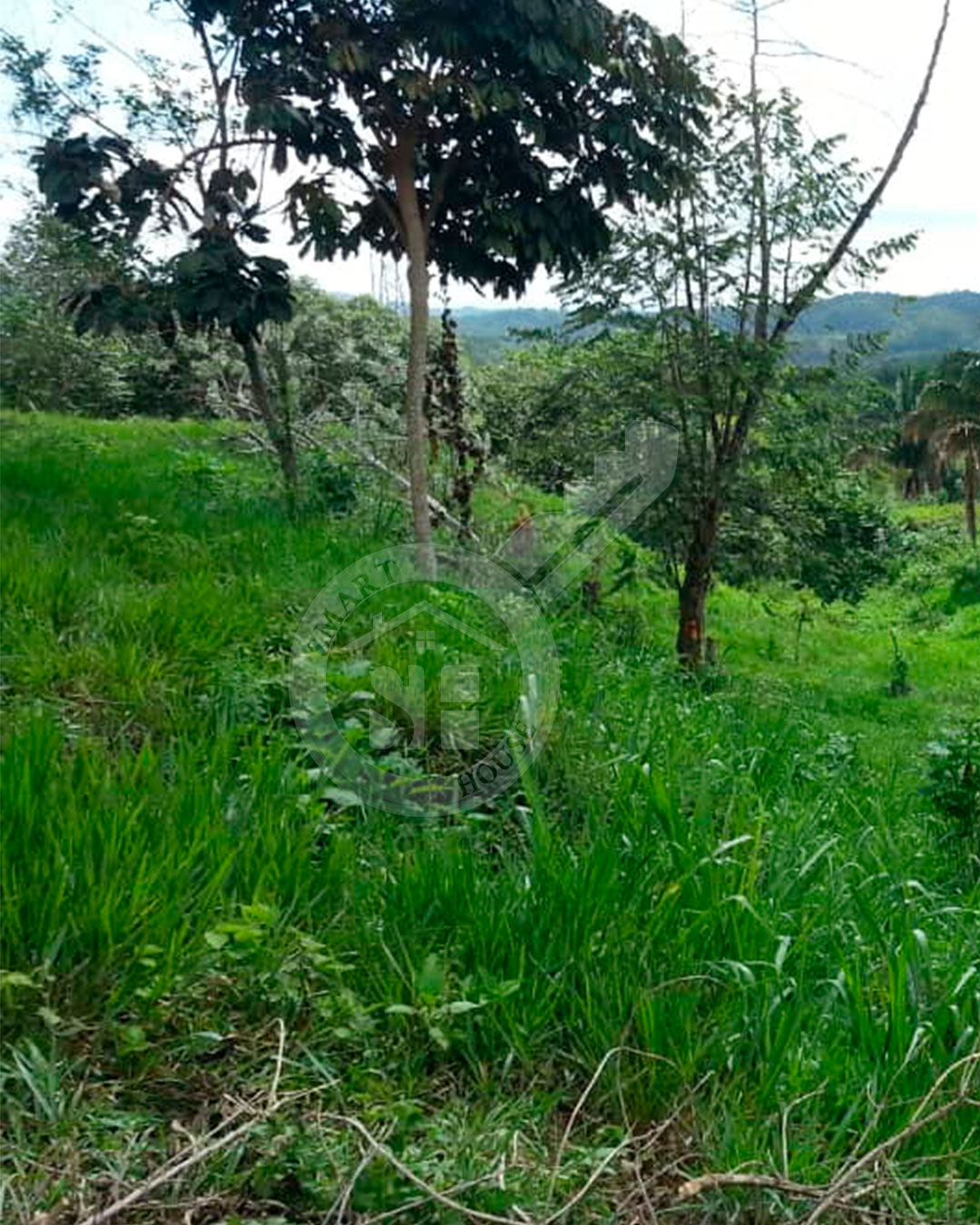 FINCA VENTA LA ARENOSA CARAMACATAL CARABOBO