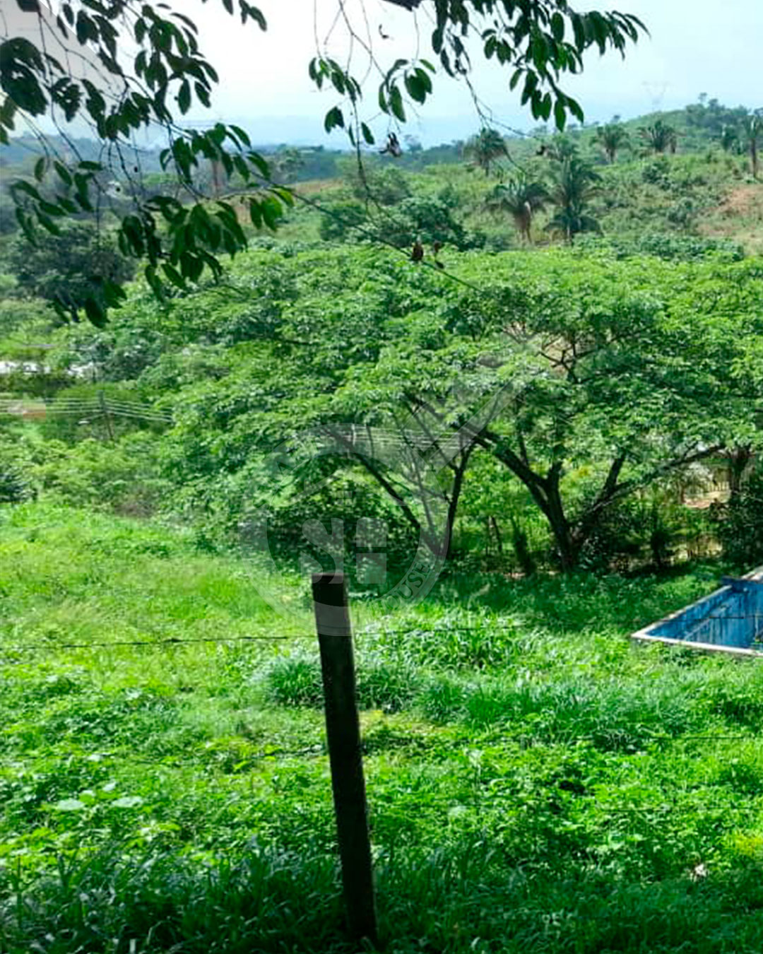 FINCA VENTA LA ARENOSA CARAMACATAL CARABOBO