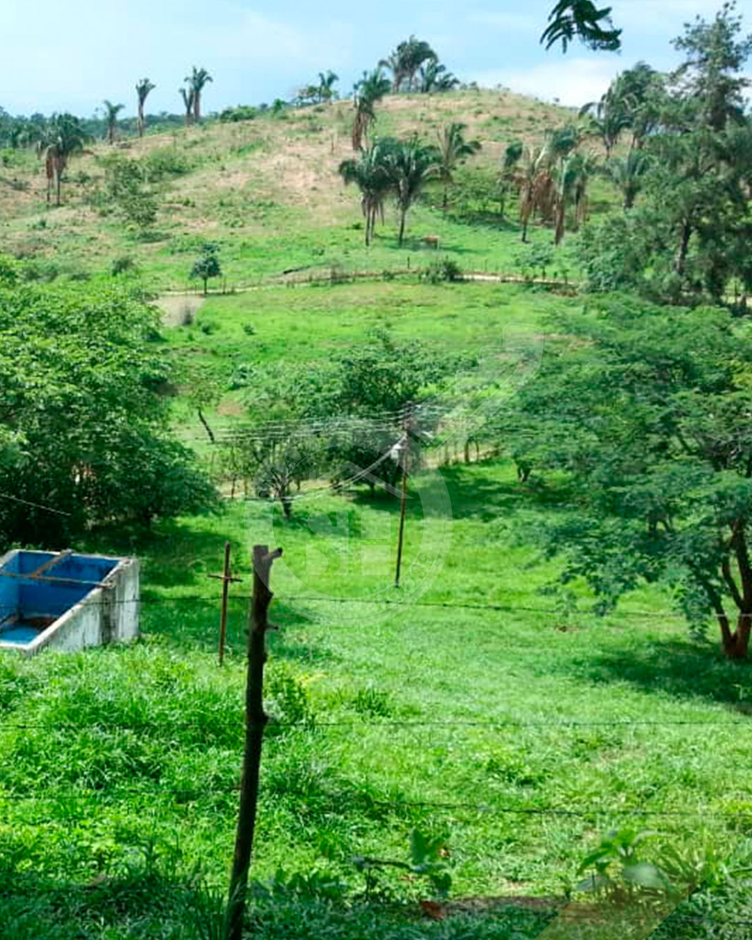 FINCA VENTA LA ARENOSA CARAMACATAL CARABOBO