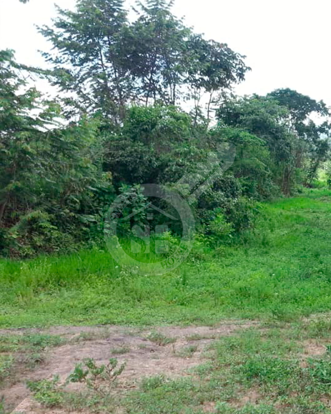 FINCA VENTA LA ARENOSA CARAMACATAL CARABOBO