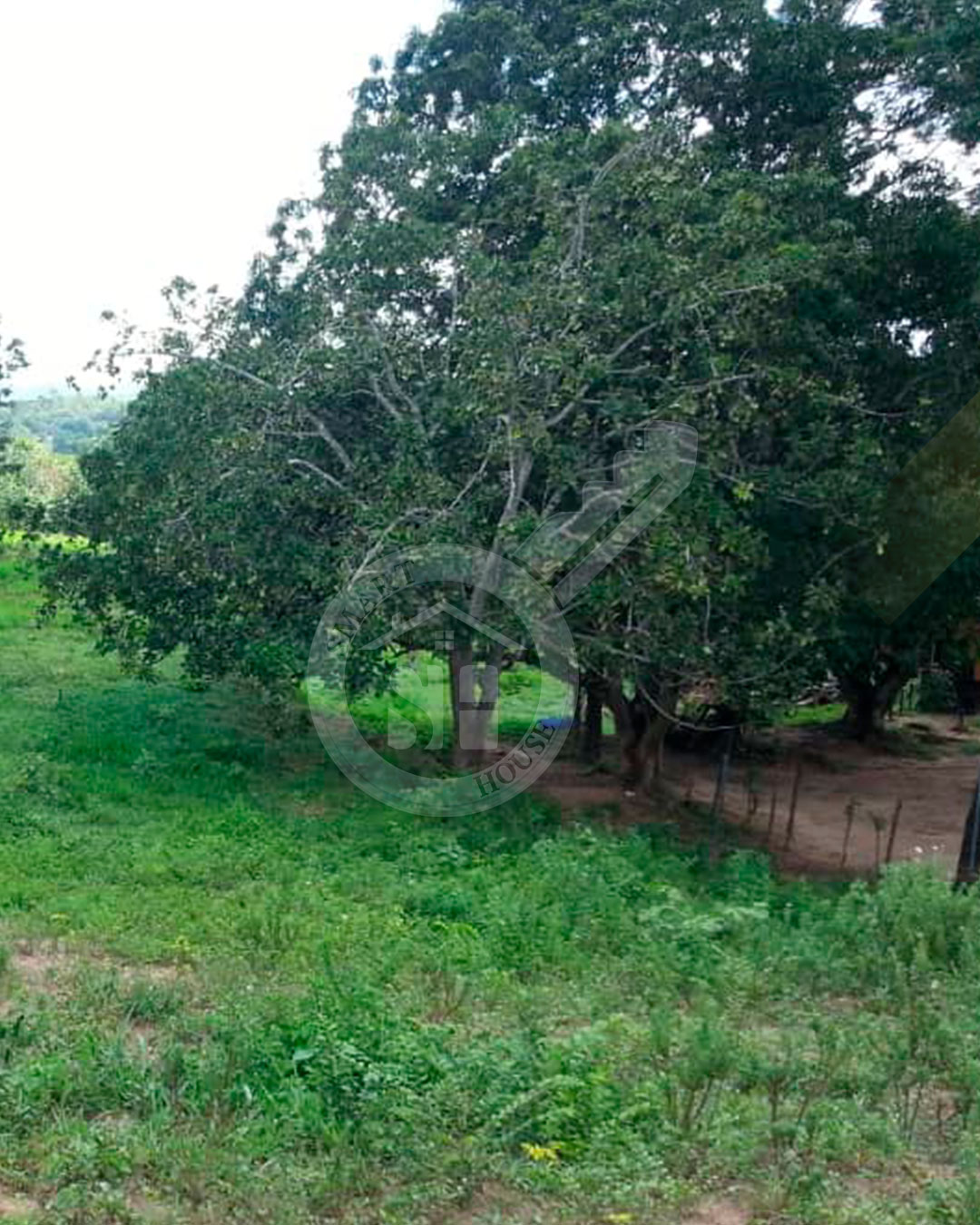 FINCA VENTA LA ARENOSA CARAMACATAL CARABOBO