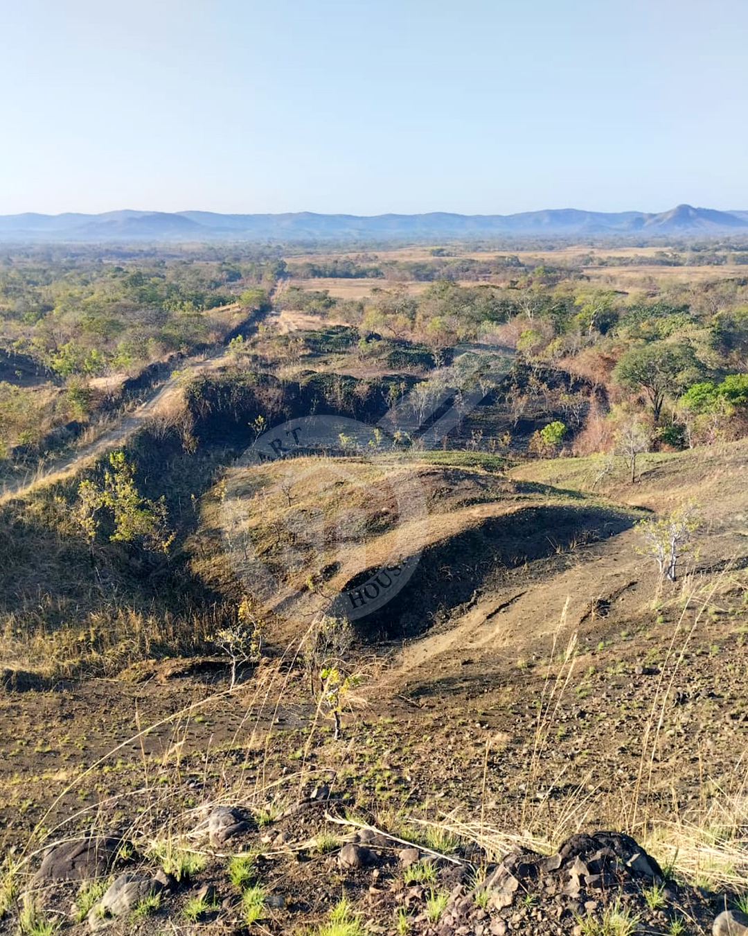 TERRENO VENTA EDO. COJEDES