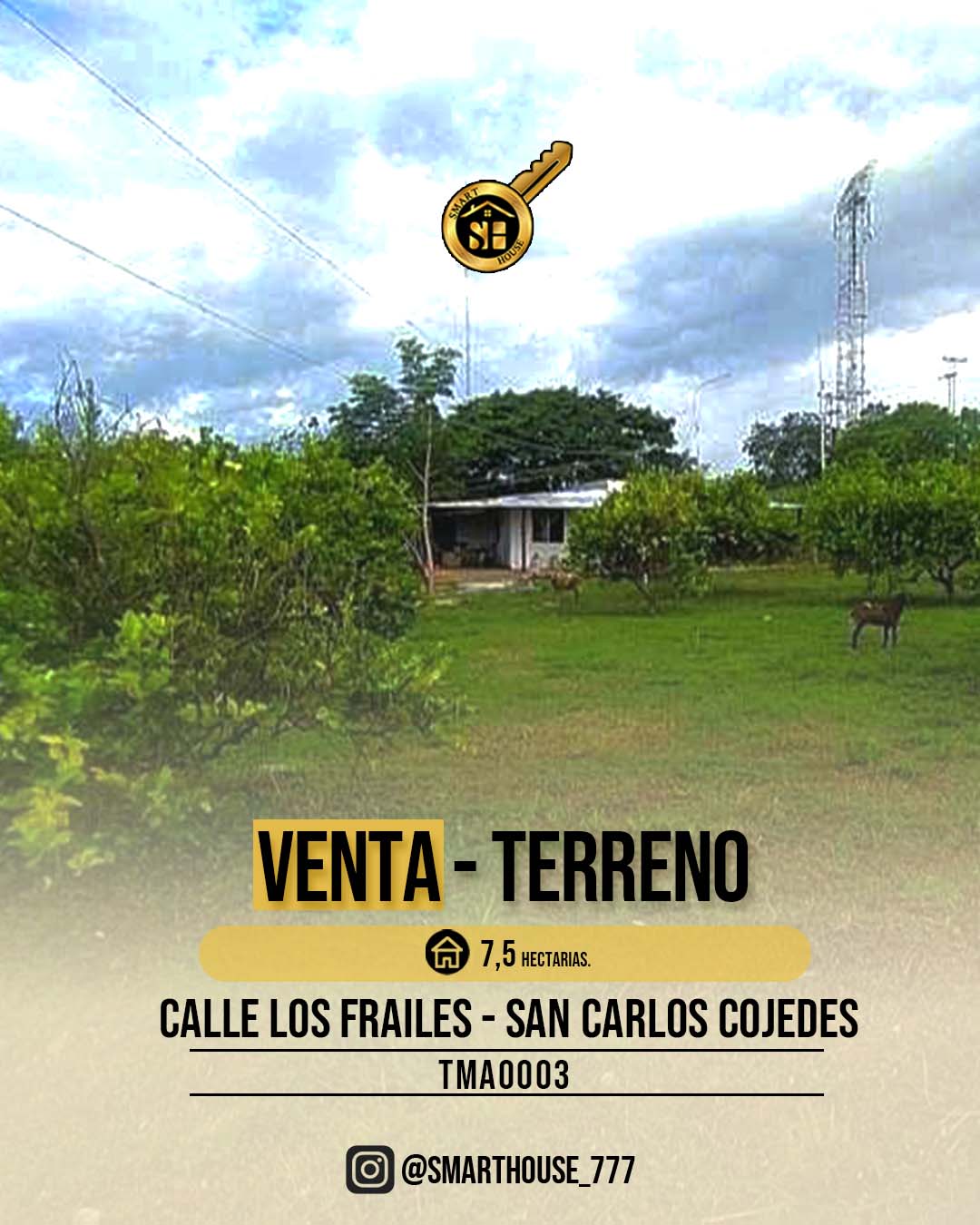 TERRENO VENTA SAN CARLO - COJEDES